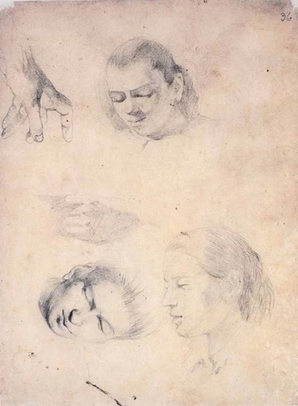 Studi di volti femminili e mani - Collezione Carlo Pepi, Crespina (Pisa)